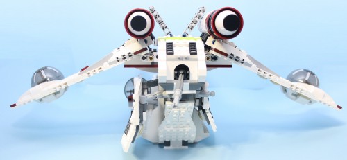 RGS - Rear View