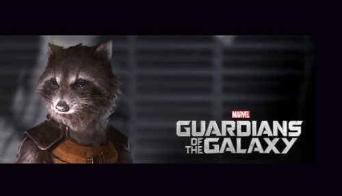 rocketracoon2