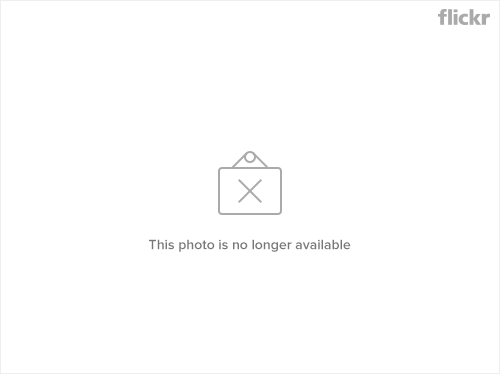 8515970425_33b00b893e.png