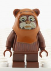 Wicket
