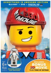 The-LEGO-Movie-DVD
