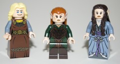 Ladies and a Custom for Lord of the Rings