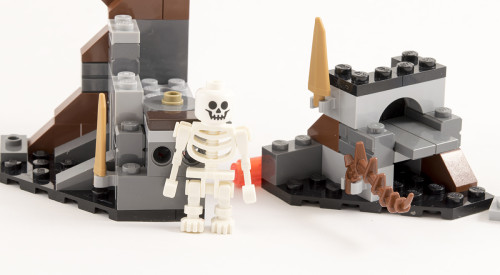 79015 - Assembled Skele