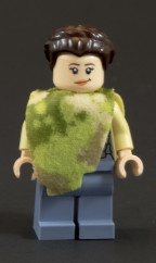 75094 Endor Leia