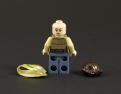 75094 Endor Leia Alt-Face