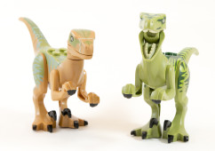 75920 Raptors