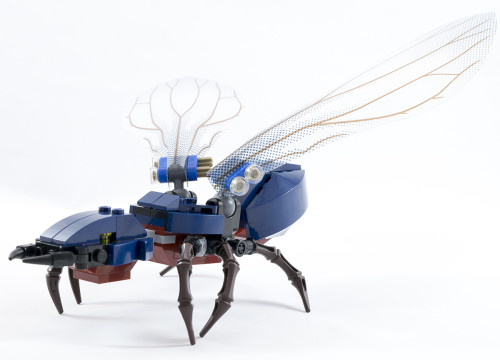 76039 The Ant