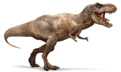 Rexy