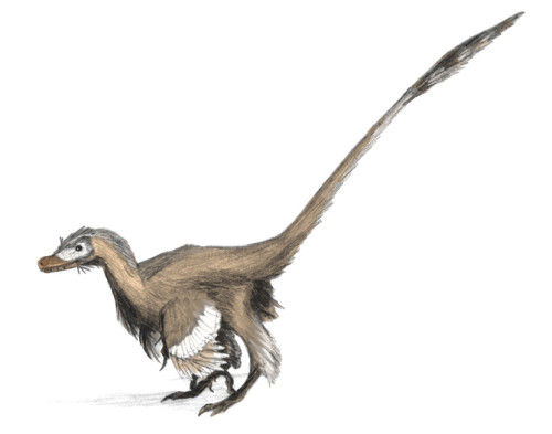 Velociraptor_dinoguy2