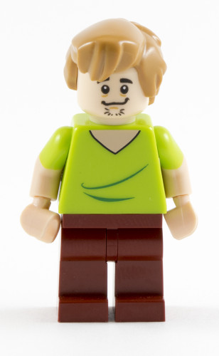 75900 - Shaggy