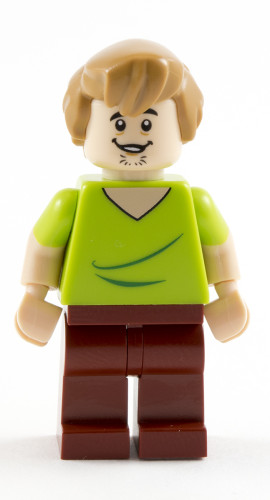 75902 - Shaggy