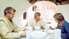 Only one skywalker