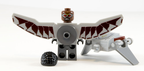 76050 Falcon Alt-Face