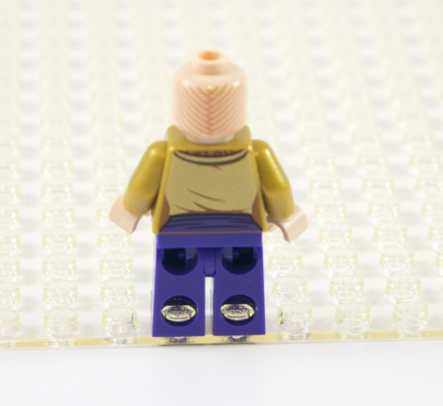 76060-ancient-one-back