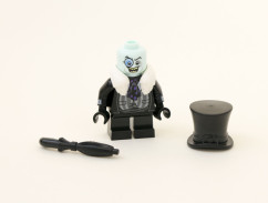 70909-the-penguin-hat-off