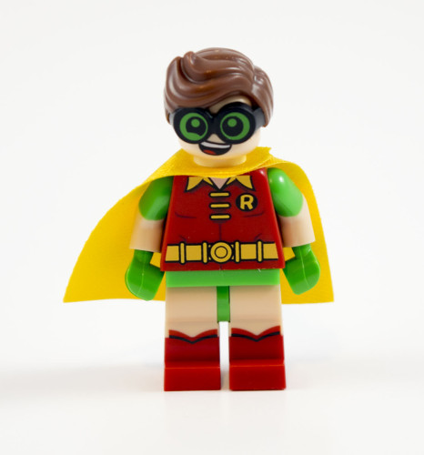 70902-robin