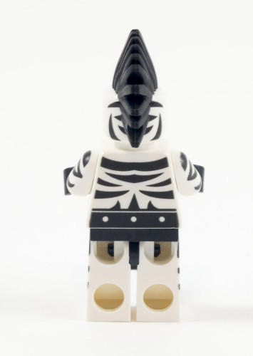 70907-zebra-man-back