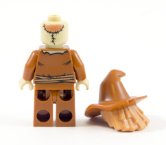 76054-scarecrow-back