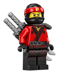 70618_Minifigure_01