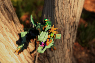 dragon-in-tree
