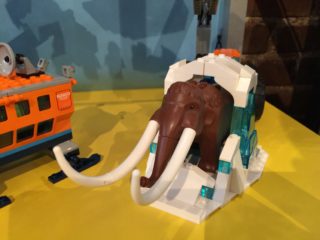 IMG_5654