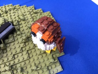 img_6076