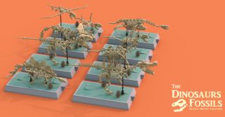 dinosaur-fossils-8-models